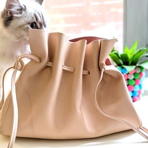 Mansur Gavriel protea bag, ballerina blush large